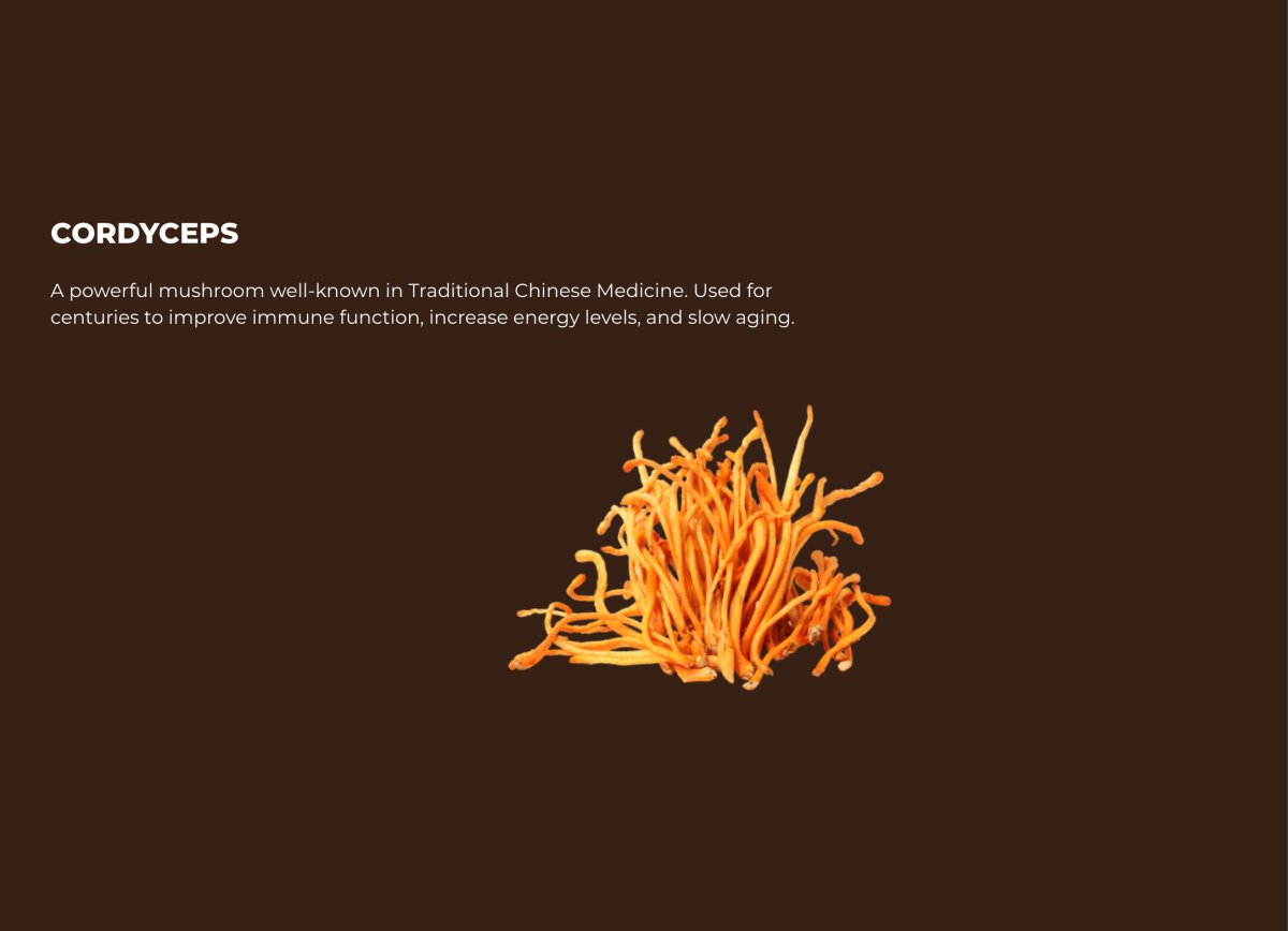 Cordyceps Coffee by SuperPowders - drinksuperpowders