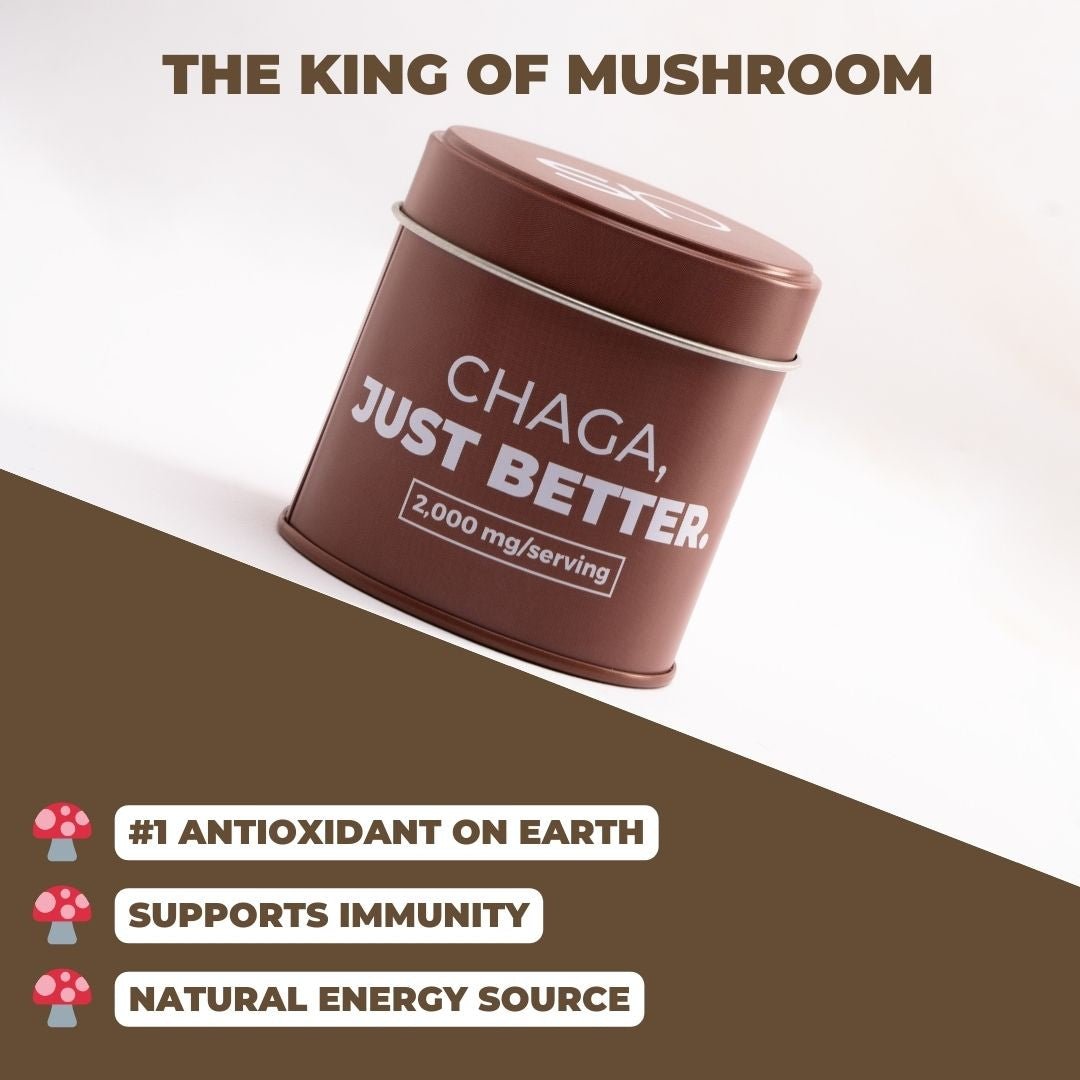 CHAGA POWDER - drinksuperpowders