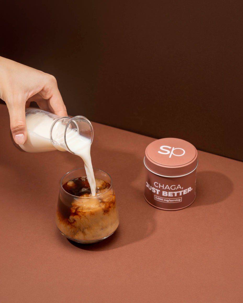 CHAGA POWDER - drinksuperpowders