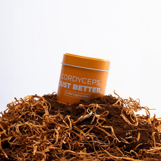 CORDYCEPS POWDER - drinksuperpowders